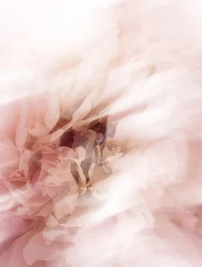 Texture délicate d'une fleur rose pâle, symbolisant la douceur et la sophistication des soins Derma'Love pour une peau sublimée et naturellement éclatante.